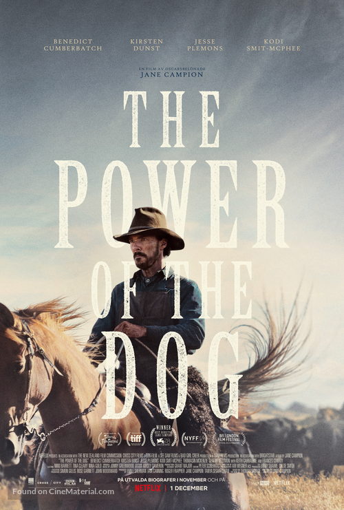 The Power of the Dog - Swedish Movie Poster