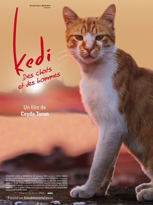 Kedi (2017) French movie poster