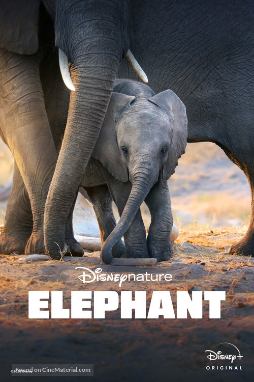 Elephant - Movie Poster