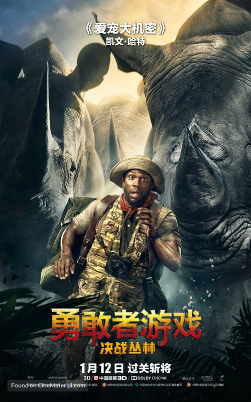 Jumanji: Welcome to the Jungle - Chinese Movie Poster