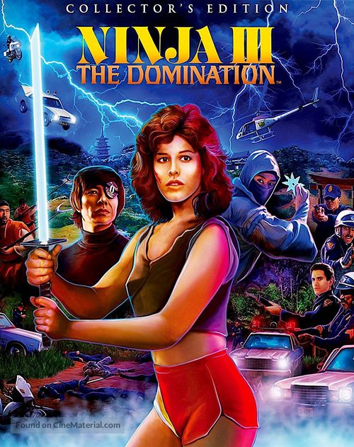 Ninja III: The Domination - poster