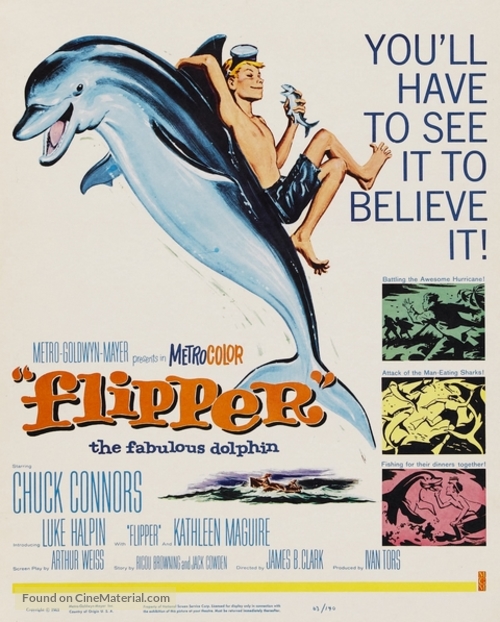 Flipper - Movie Poster