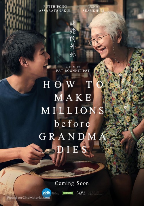 How to Make Millions Before Grandma Dies - International Movie Poster