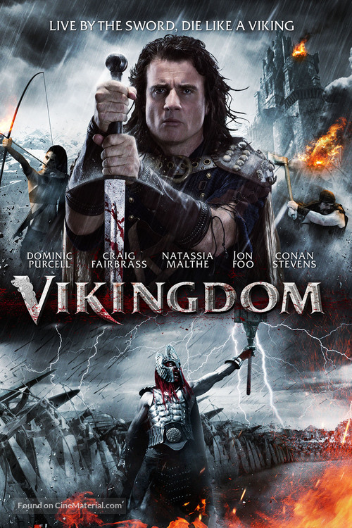 Vikingdom - DVD movie cover