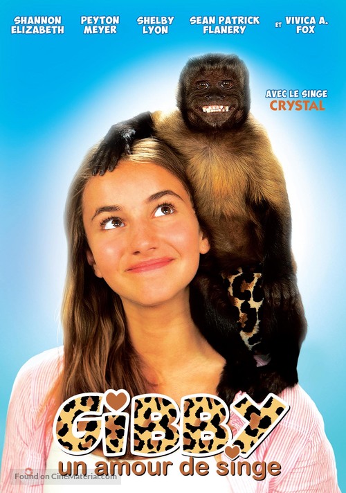 Gibby - French DVD movie cover