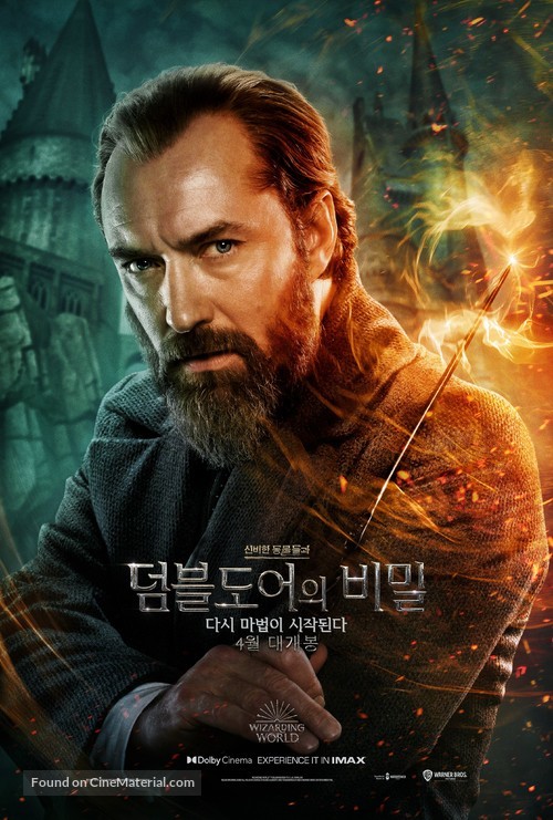 Fantastic Beasts: The Secrets of Dumbledore - South Korean Movie Poster