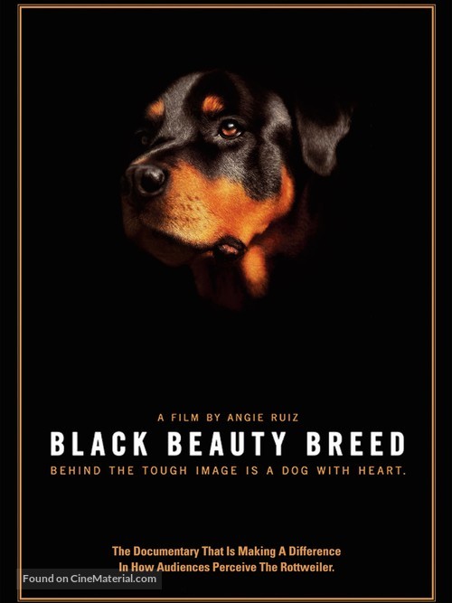 Black Beauty Breed - Movie Cover