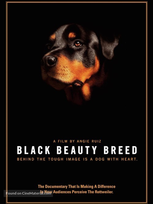 Black Beauty Breed - Movie Cover