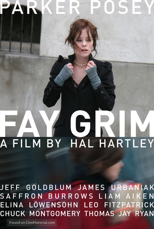 Fay Grim - Movie Poster