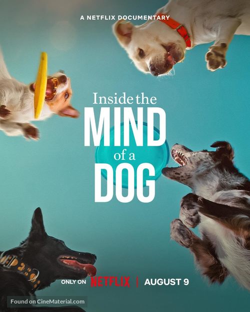 Inside the Mind of a Dog - Movie Poster