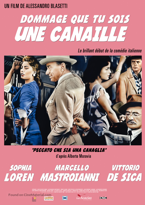 Peccato che sia una canaglia - French Movie Poster