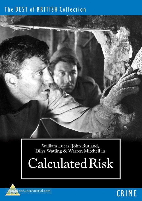 Calculated Risk - British DVD movie cover