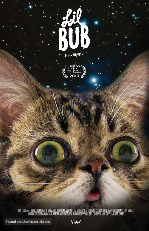 Lil Bub &amp; Friendz - Movie Poster