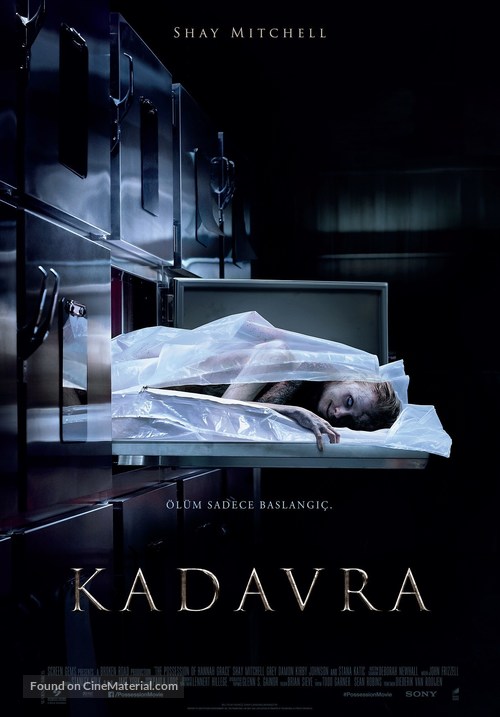 The Possession of Hannah Grace - Turkish Movie Poster