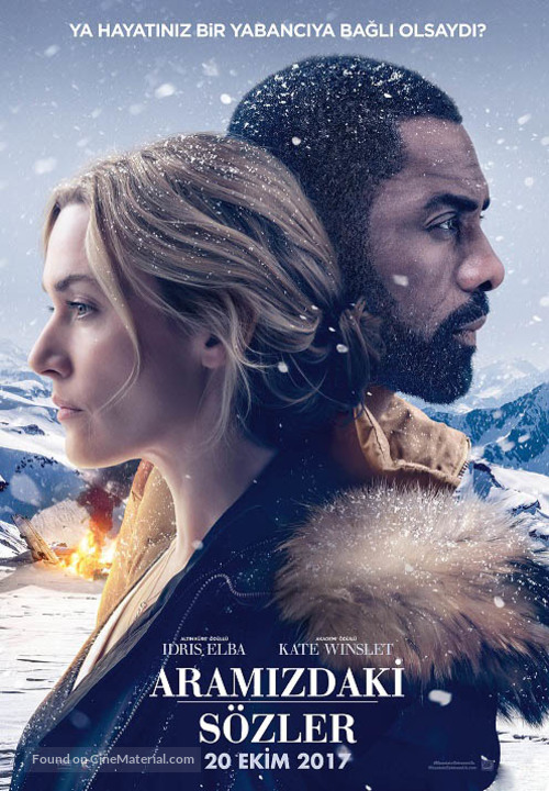 The Mountain Between Us - Turkish Movie Poster