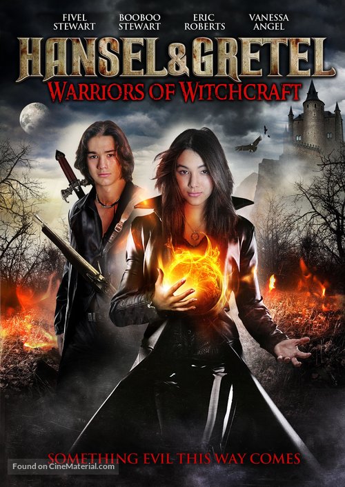 Hansel &amp; Gretel: Warriors of Witchcraft - DVD movie cover