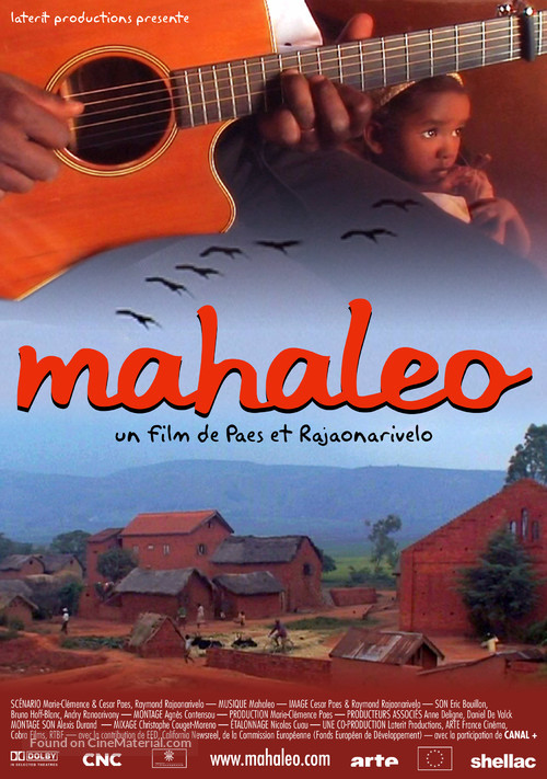 Mahaleo - French poster