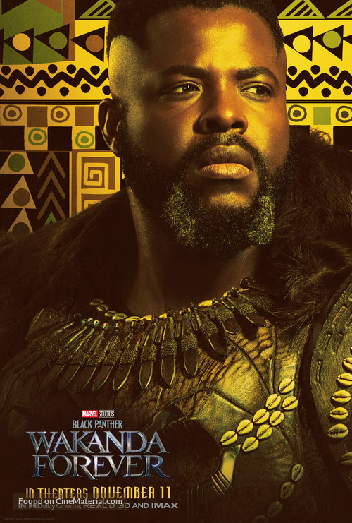Black Panther: Wakanda Forever - Movie Poster
