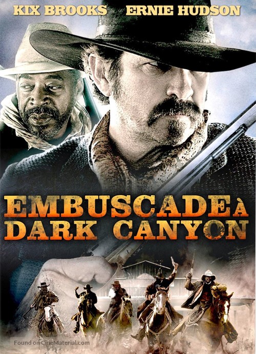 Dark Canyon - French DVD movie cover