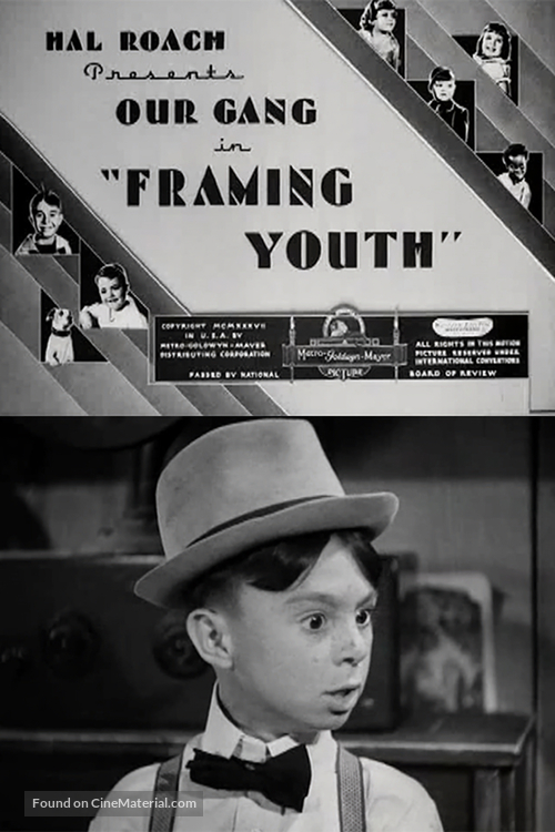 Framing Youth - Movie Poster