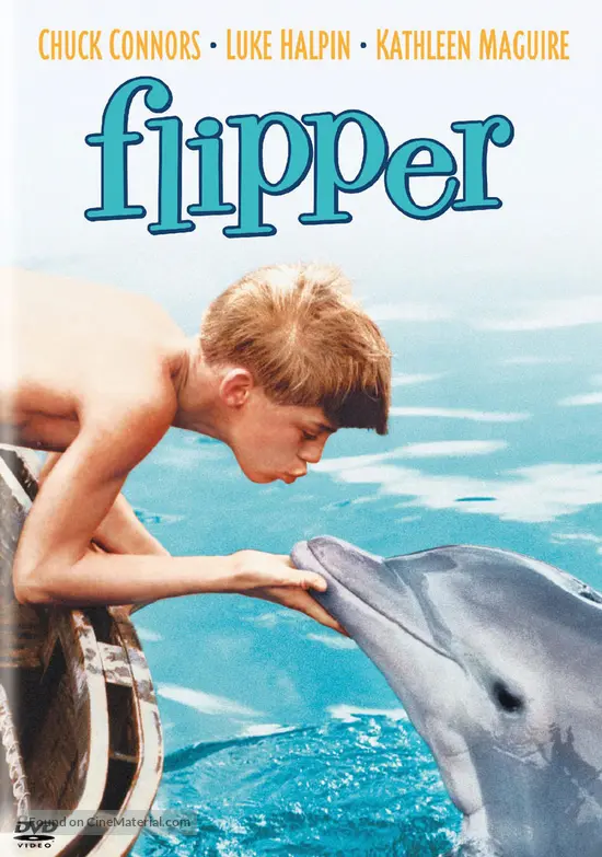 Flipper - Japanese DVD movie cover