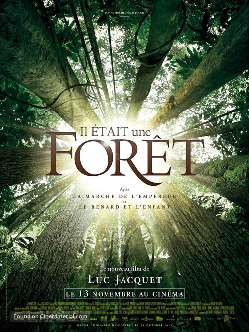 Il &eacute;tait une for&ecirc;t - French Movie Poster