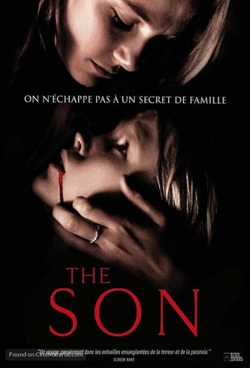 Son - French DVD movie cover