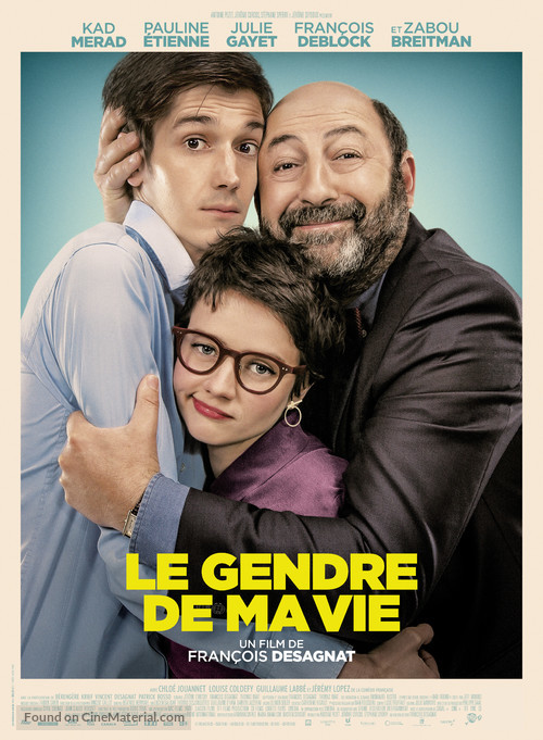 Le gendre de ma vie - French Movie Poster