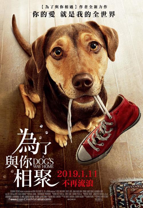 A Dog&#039;s Way Home - Taiwanese Movie Poster