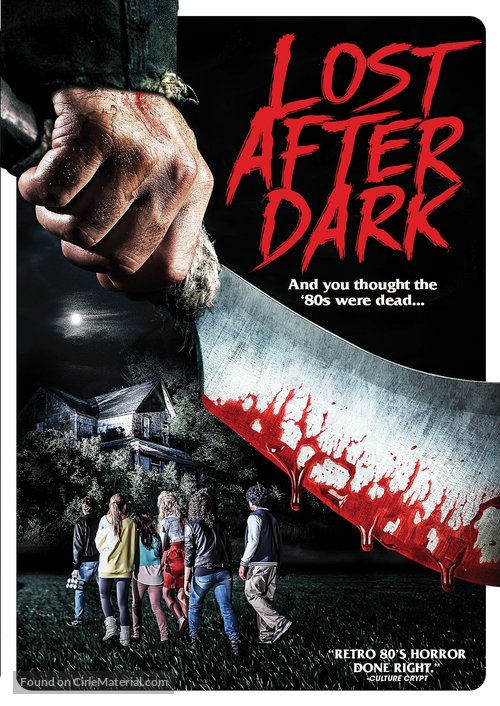 Lost After Dark - DVD movie cover