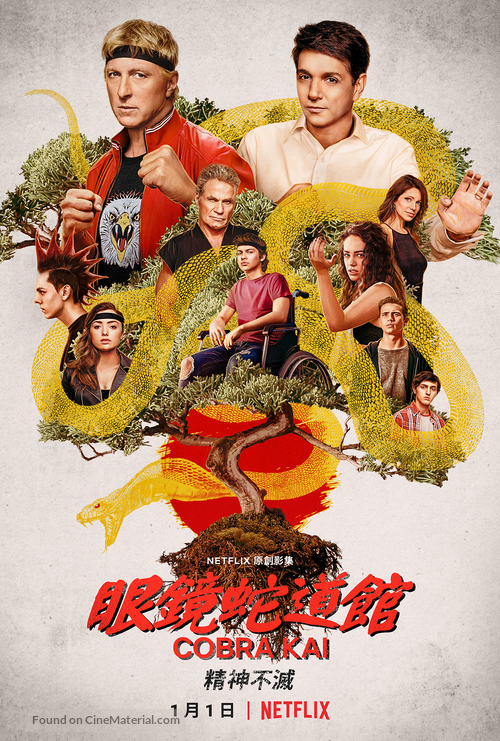 &quot;Cobra Kai&quot; - Chinese Movie Poster