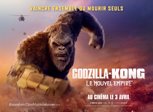 Godzilla x Kong: The New Empire - French Movie Poster