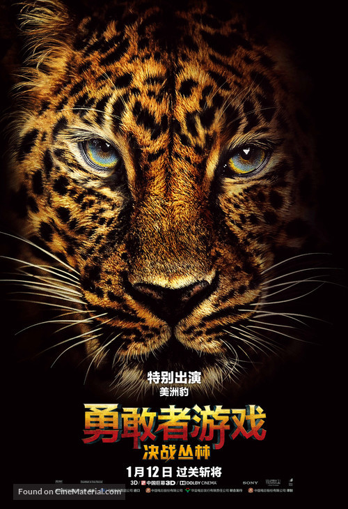 Jumanji: Welcome to the Jungle - Chinese Movie Poster