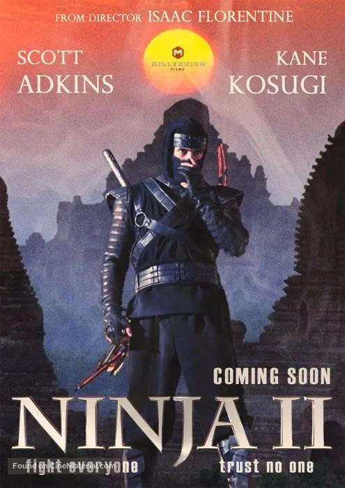 Ninja: Shadow of a Tear - Movie Poster