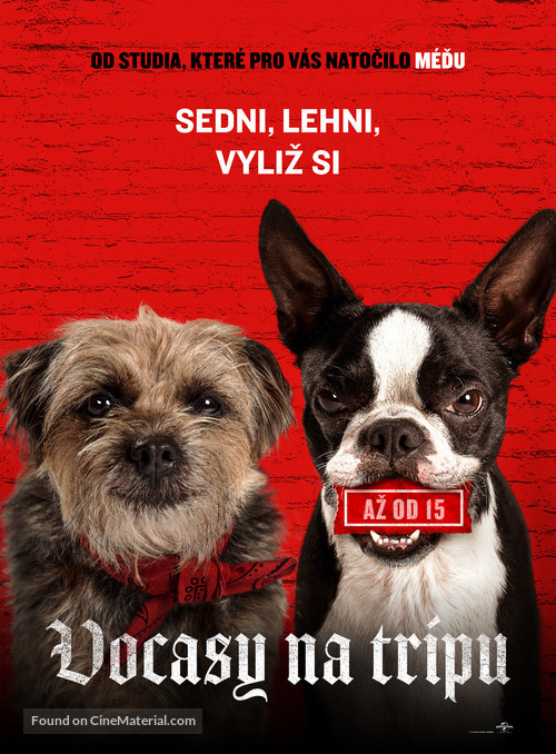 Strays - Czech Movie Poster