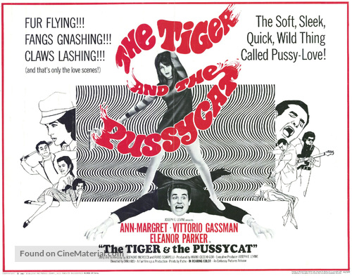 Il tigre - Movie Poster