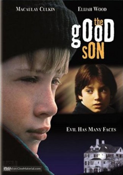 The Good Son - DVD movie cover