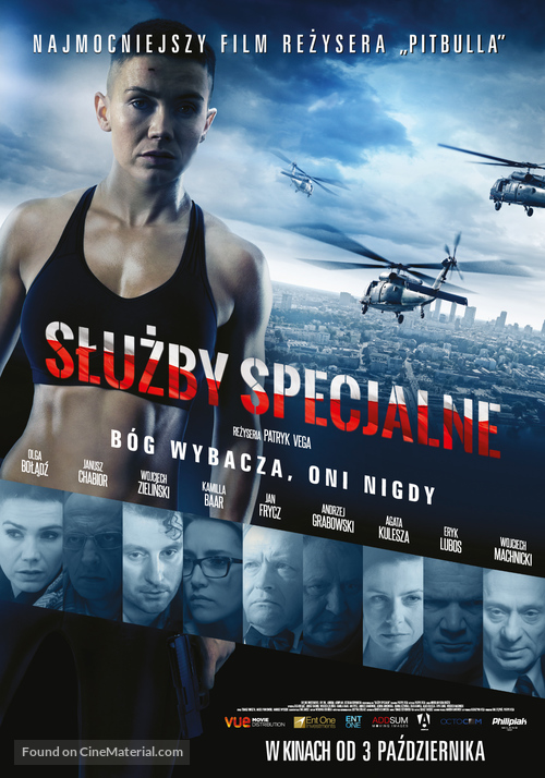 Sluzby specjalne - Polish Movie Poster