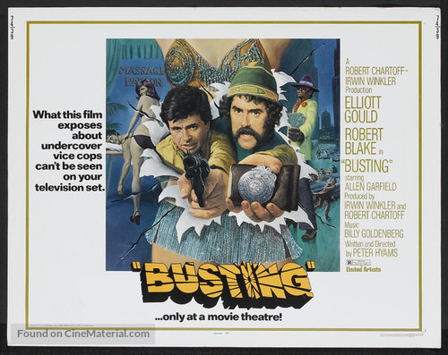 Busting - Movie Poster