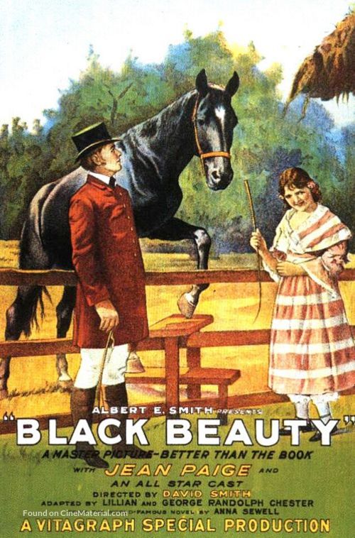 Black Beauty - Movie Poster