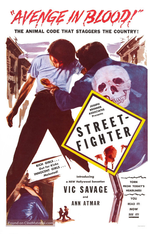 Street-Fighter - Movie Poster