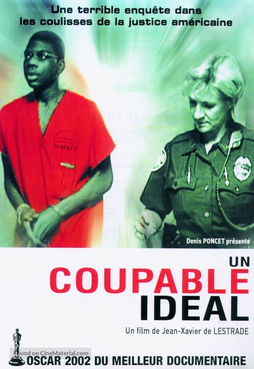 Un coupable id&eacute;al - French Movie Cover