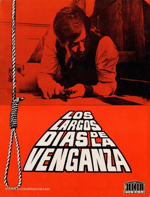 I lunghi giorni della vendetta - Spanish Movie Poster