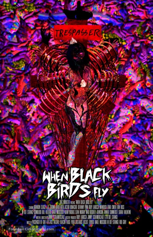 When Black Birds Fly - Movie Poster