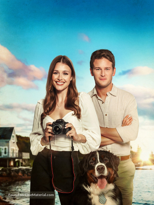 Picture Perfect Romance - Key art