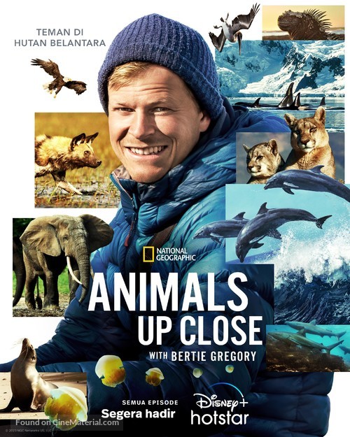 &quot;Animals Up Close with Bertie Gregory&quot; - Indonesian Movie Poster