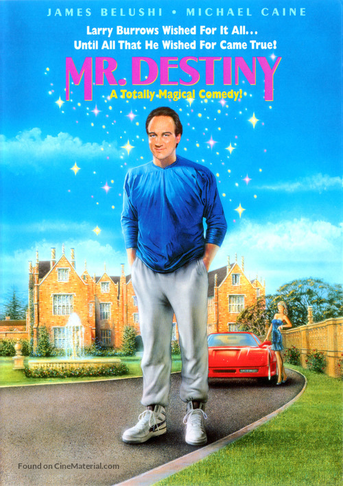Mr. Destiny - DVD movie cover