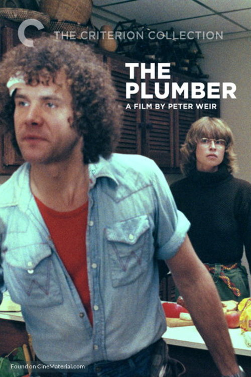 The Plumber - DVD movie cover