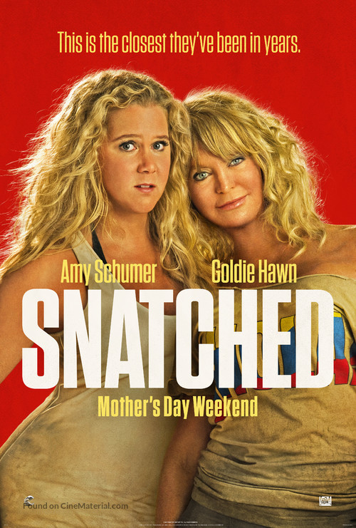 Snatched - Movie Poster