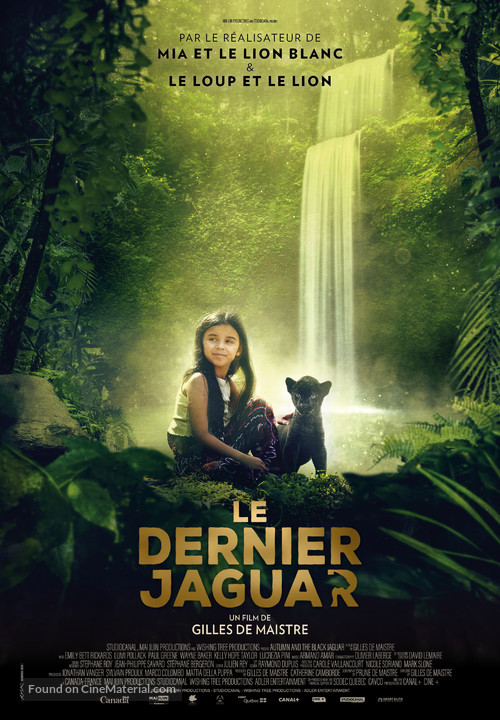 Le dernier jaguar - Swiss Movie Poster